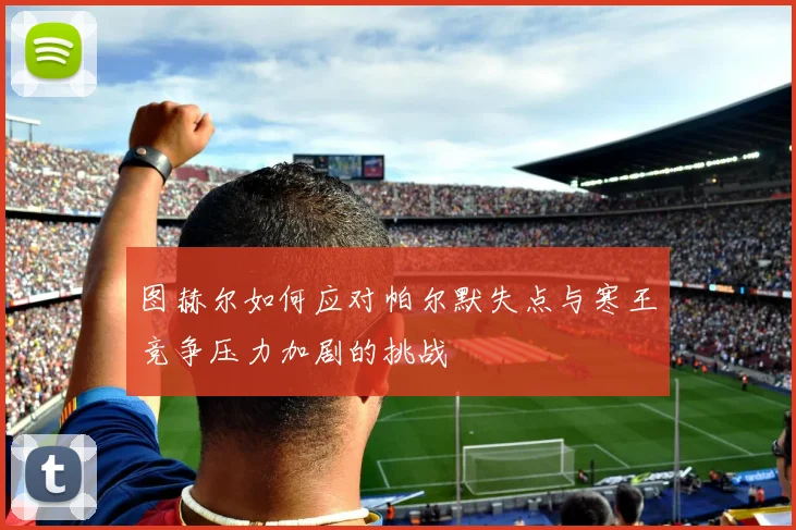 图赫尔如何应对帕尔默失点与寒王竞争压力加剧的挑战